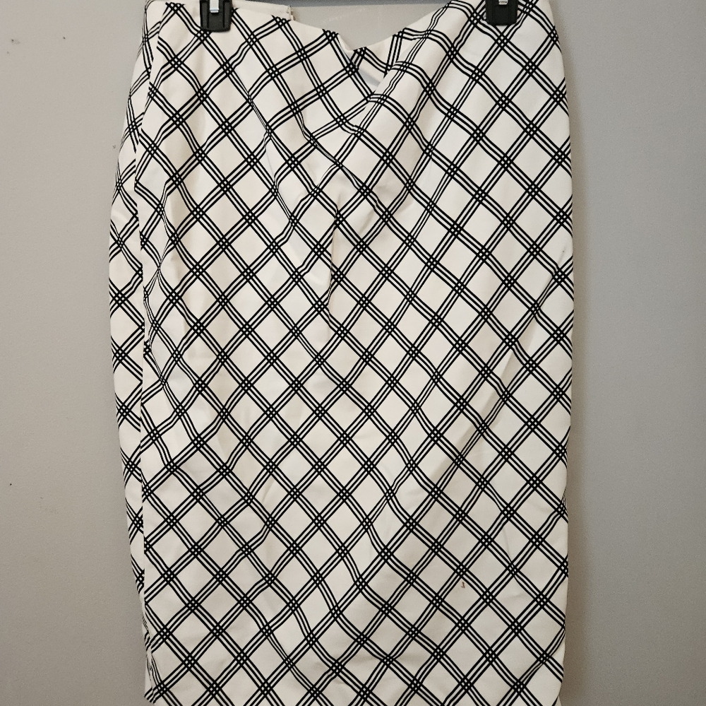 Express Pencil Skirt